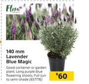 140mm Lavender Blue Magic