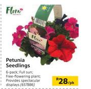 Flora Petunia Seedlings 6 Pack-Per pk