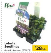 Flora Lobelia Seedlings 6 Pack Assorted-Per pk