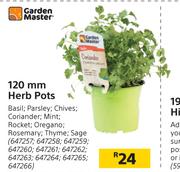 Garden Master 120mm Herb Pots