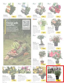 Builders : Spring Into Fresh Memories - Live Beautifully! (25 August - 28 September 2020), page 2