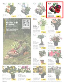 Builders : Spring Into Fresh Memories - Live Beautifully! (25 August - 28 September 2020), page 2