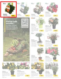 Builders : Spring Into Fresh Memories - Live Beautifully! (25 August - 28 September 2020), page 2