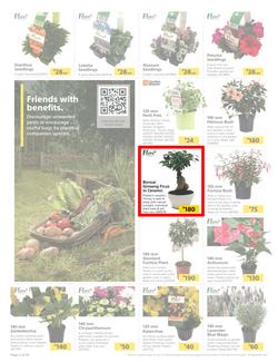 Builders : Spring Into Fresh Memories - Live Beautifully! (25 August - 28 September 2020), page 2