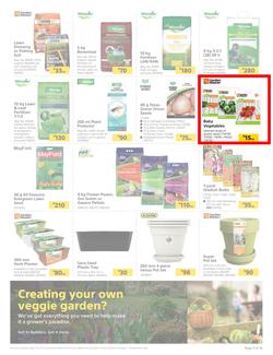 Builders : Spring Into Fresh Memories - Live Beautifully! (25 August - 28 September 2020), page 3