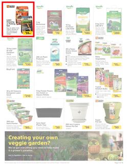 Builders : Spring Into Fresh Memories - Live Beautifully! (25 August - 28 September 2020), page 3