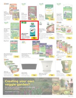 Builders : Spring Into Fresh Memories - Live Beautifully! (25 August - 28 September 2020), page 3