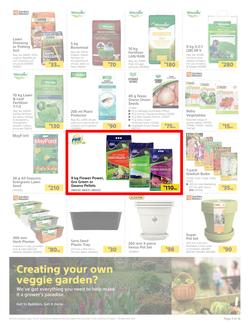Builders : Spring Into Fresh Memories - Live Beautifully! (25 August - 28 September 2020), page 3