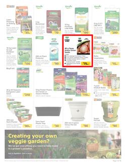Builders : Spring Into Fresh Memories - Live Beautifully! (25 August - 28 September 2020), page 3