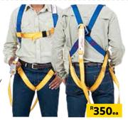 North Fall Arrest Double Harness