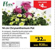 Flora 14cm Chrysanthemum Pot-Each