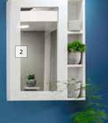 Montego Mirror Cabinet