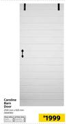 Caroline Barn Door 2100 x 920mm