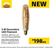 Radiant 5W Decorative LED Filament LED0115