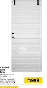 Caroline Barn Door 2100 x 920mm