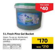 Fresh Pine Gel Bucket-5Ltr