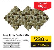 Berg River Pebble Mix 300mm x 300mm-Per Pack