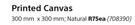 Designhouse Printed Natural Canvas 300mm x 300mm-Ea