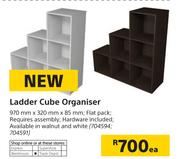 Ladder Cube Organiser 970mm x 320mm x 85mm-Each