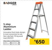 Badger 5 Step Aluminium Ladder