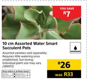 10 Cm Assorted Water Smart Succulent Pots