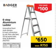 Badger 6-Step Aluminium Ladder