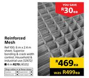 Reinforced Mesh 4m-Each