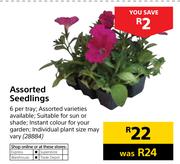 Assorted Seedlings