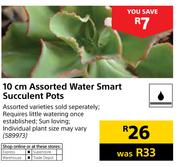10cm Assorted Water Smart Succulent Pots