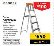 Badger 6 Step Aluminium Ladder