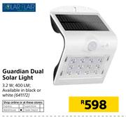 Solar Flair Guardian Dual Solar Light