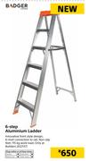 Badger 6-Step Aluminum Ladder