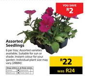 Assorted Seedlings-Each