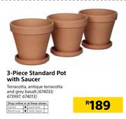 3 Piece Standard Pot With Saucer