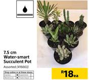 7.5cm Water Smart Succulent Pot Assorted-Each