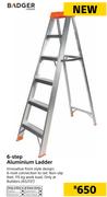 Badger 6 Step Aluminium Ladder