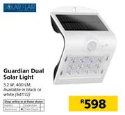 Solar Flair Guardian Dual Solar Light