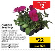 Assorted Seedlinds-6 Per Tray