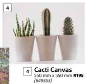 Designhouse Cacti Canvas 550mm x 550mm