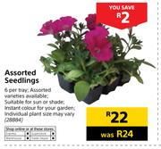 Assorted Seedlings-6 Per Tray