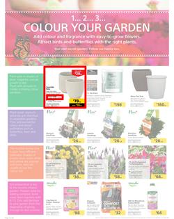 Builders : 1... 2... 3 Garden (17 Sep - 20 Oct 2019), page 2