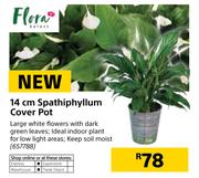 Flora 14cm Spathiphyllum Cover Pot
