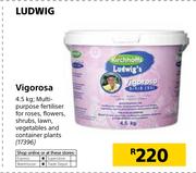 Ludwig Vigorosa-4.5Kg