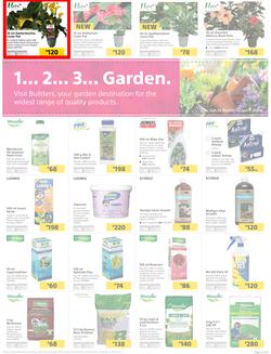 Builders : 1... 2... 3 Garden (17 Sep - 20 Oct 2019), page 3