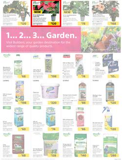 Builders : 1... 2... 3 Garden (17 Sep - 20 Oct 2019), page 3