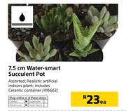 7.5cm Water Smart Succulent Pot-Each