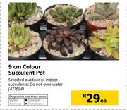 9cm Colour Succulent Pot-Each