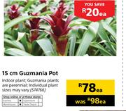 15cm Guzmania Pot-Each