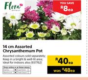 Flora 14cm Assorted Chrysanthemum Pot-Each