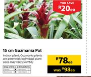 15cm Guzmania Pot-Each